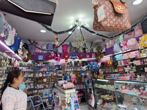 ElExtranjeritoCalarca