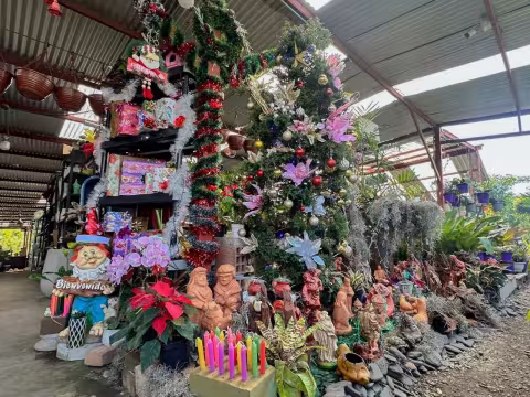 VIVERO MOYOS Y MATEROS CENTRO COMERCIAL